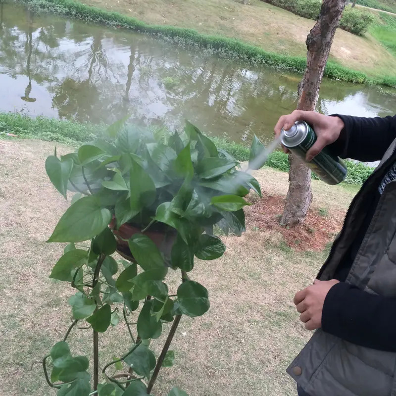 মাল্টিসসিন টিনপ্লেট পাতা শাইন স্প্রে সবুজ বোতল রঙ ইকো ফ্রেন্ডলি